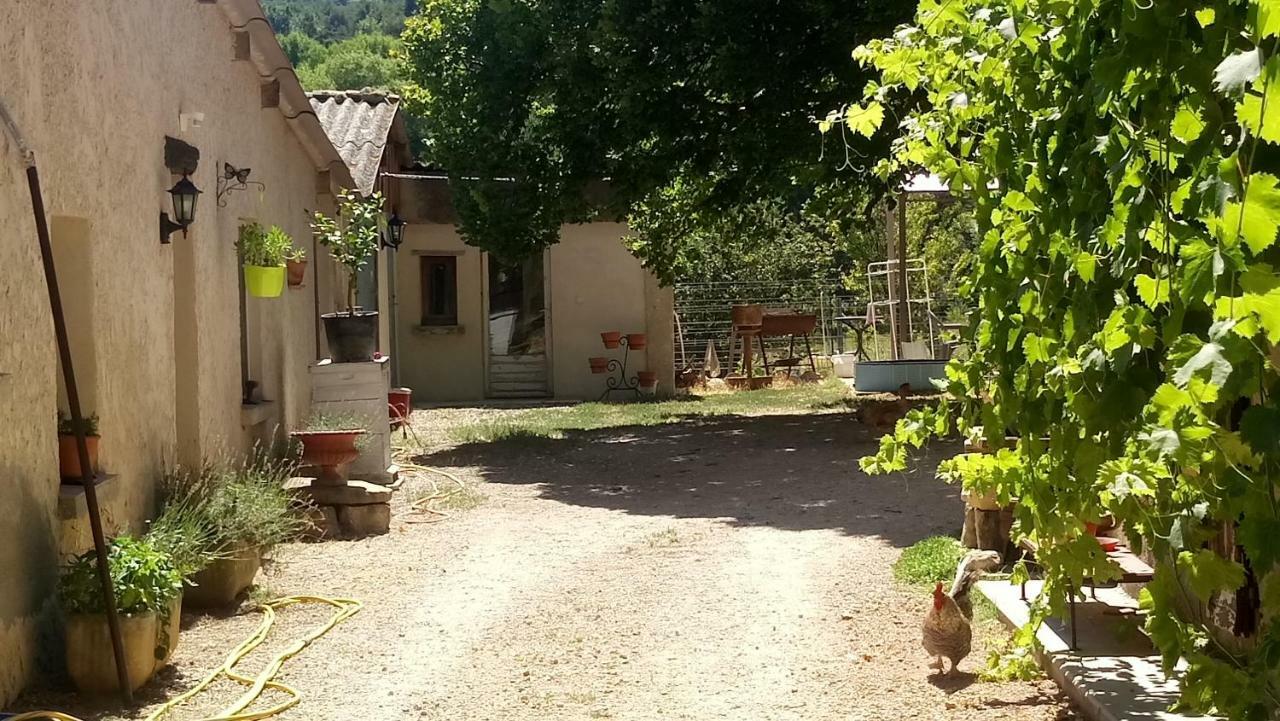 Gite Provence Luberon -Paca- Acces Pmr-Ancv Revest-des-Brousses Экстерьер фото